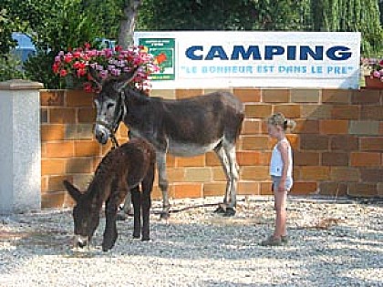 Aire naturelle de camping Le Bonheur est dans le Pré