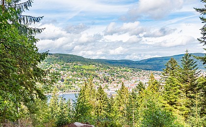 La roche du renard - rock