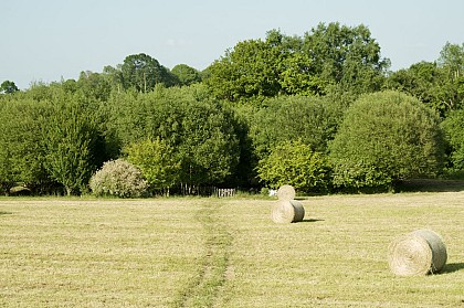 Gîte My French Location - La Mésange