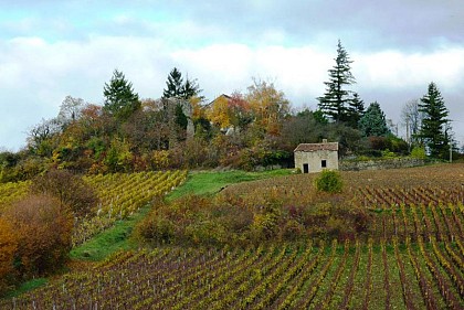 Bourgogne Randonnée