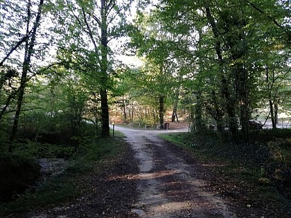 Ruisseau de la Forêt
