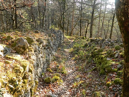 mur en pierre en sèche