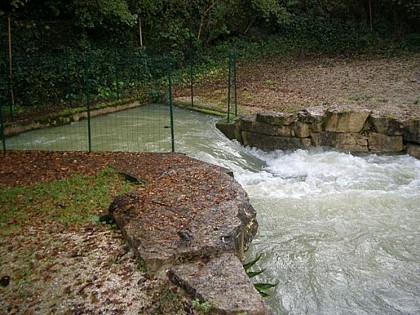 La résurgence de Bouzic