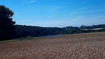 Deux étangs du Jard