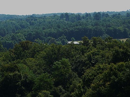 Forêt de la Double