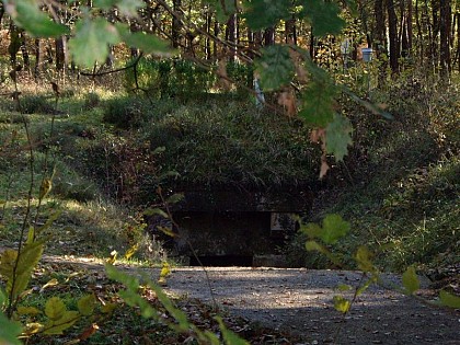 La découverte de Lascaux