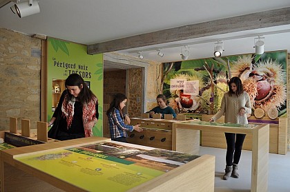 Maison de la chataigne