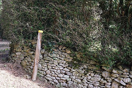 Toponymie du lieu-dit "le Pech"