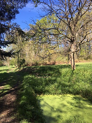 Fontaine de l'Hôpital