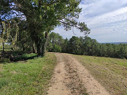 Toponymie du lieu dit "La Taula"