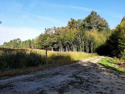 Histoire de la commune de Lunas