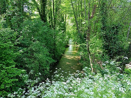 Le Caudeau (ruisseau)