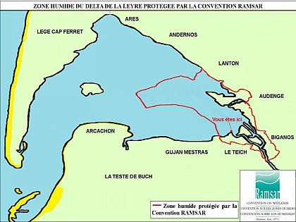 Delta de la Leyre et Convention RAMSAR
