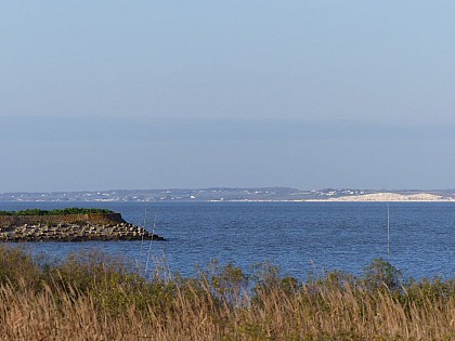 Estuaire de la Gironde