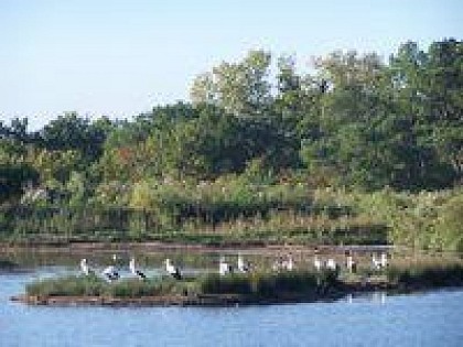 LE TEICH ORNITHOLOGICAL PARK