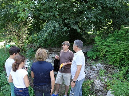 Ancien château de Castelnau