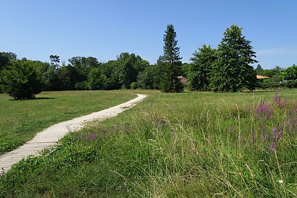 Le parc de Saint Albe