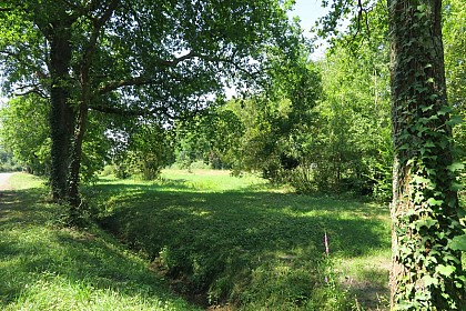 Le parc de la Crabette