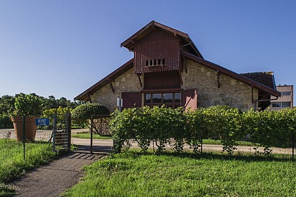 The eco-museum of the vine and wine in Gradignan