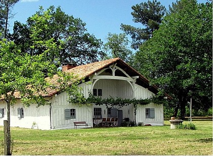 Des quartiers typiques