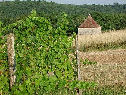 Pigeonnier de Piques