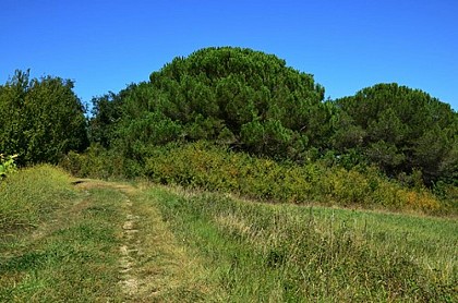 Chemin Tanger Rosès