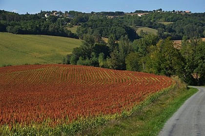 Point de vue sur vallée de la Gandaille
