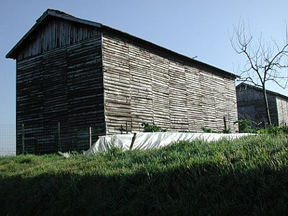 Séchoir à tabac