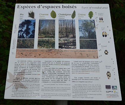 Espèces d'espaces boisés