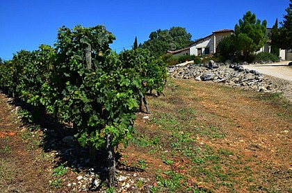 Cave Thézac-Perricard