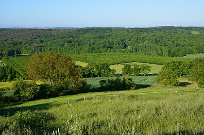 Point de vue sur le bois de Verteuil