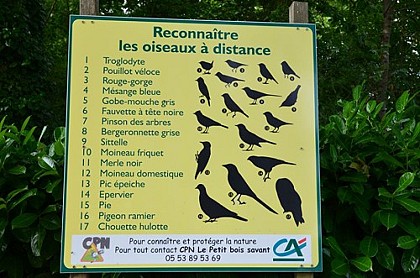 Panneau thématique A "reconnaître les Oiseaux"