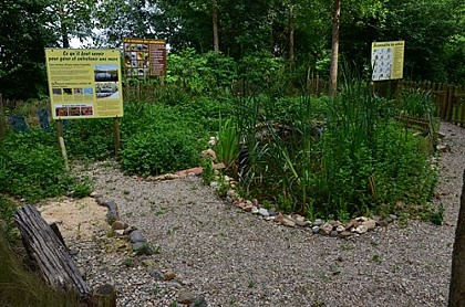 Le petit bois savant