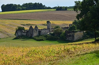 Vieux château en ruine (hors circuit)