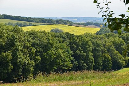 Point de vue de Haute Mine