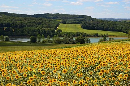 Point de vue sur Ste-Gemme