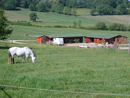 Centre équestre