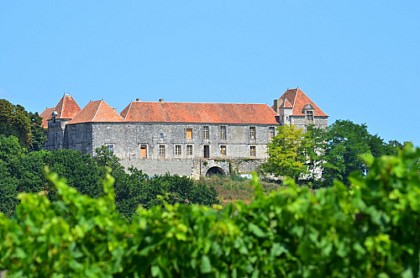 Château de Théobon