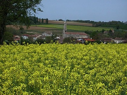 Point de vue sur Lannes