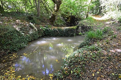 Chemin et Muret de Pierre