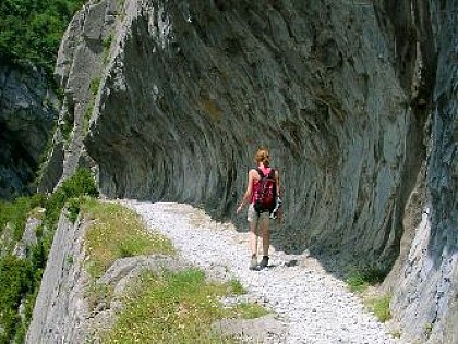 Le chemin de la matûre