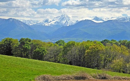 Vue sur les Pyrénées