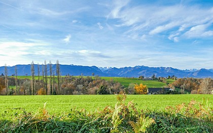 The view to the Pyrenees