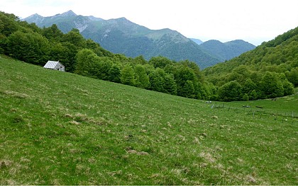 The cabin of Monbula