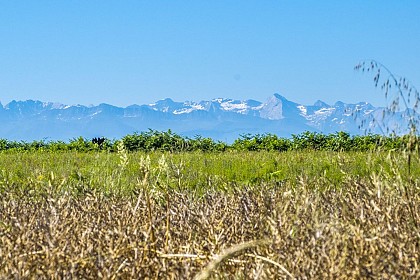 View of the Pyrenees and the Ayguelongue plain