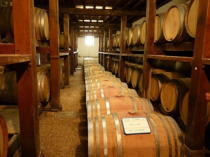 Château d'Aydie / Domaine Laplace