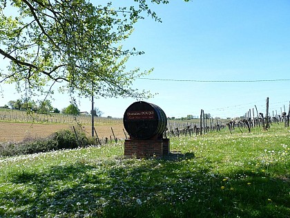 Domaine Poujo