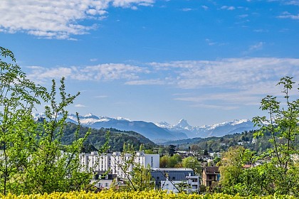 Vue sur les Pyrénées