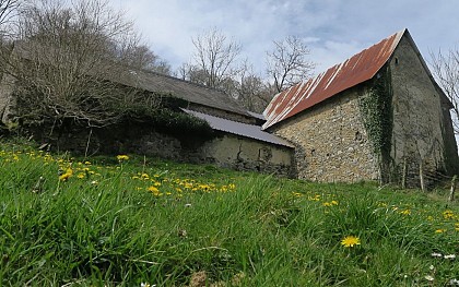 Agriculture montagnarde