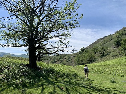 Falaises aux vautours
